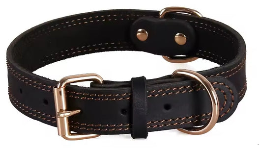 Collier chien | Cuir Authentique Résistant