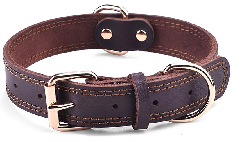 Collier chien | Cuir Authentique Résistant