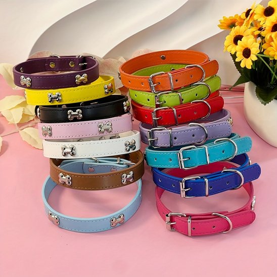 Collier pour chien