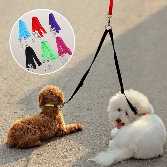 Laisse double pour chien