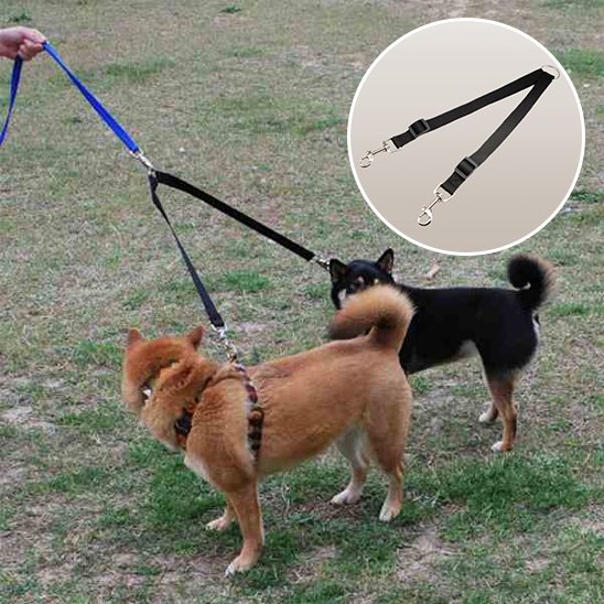 Laisse double pour chien