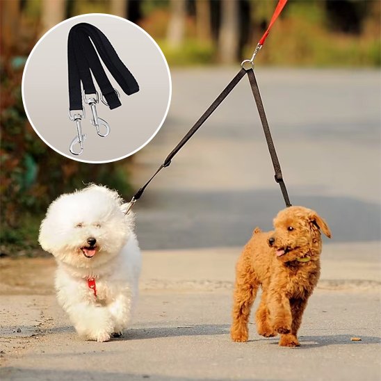 Laisse double pour chien