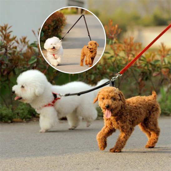 Laisse double pour chien